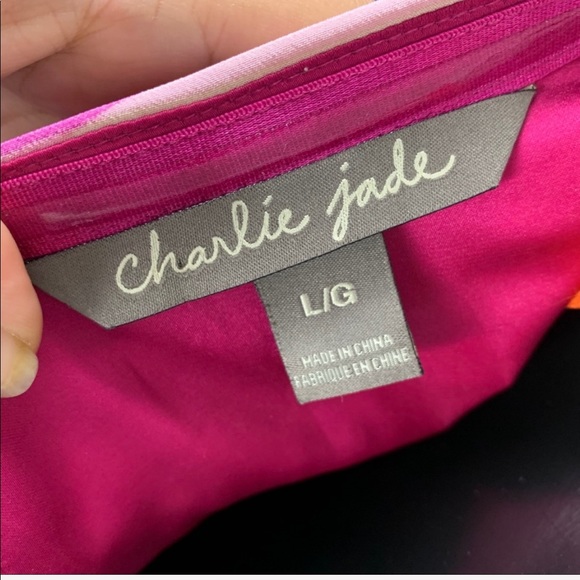 Charlie Jade Dress - Picture 6 of 6